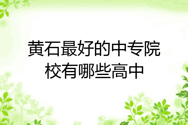 黄石最好的中专院校有哪些高中
