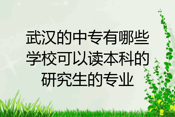 武汉的中专有哪些学校可以读本科的研究生的专业