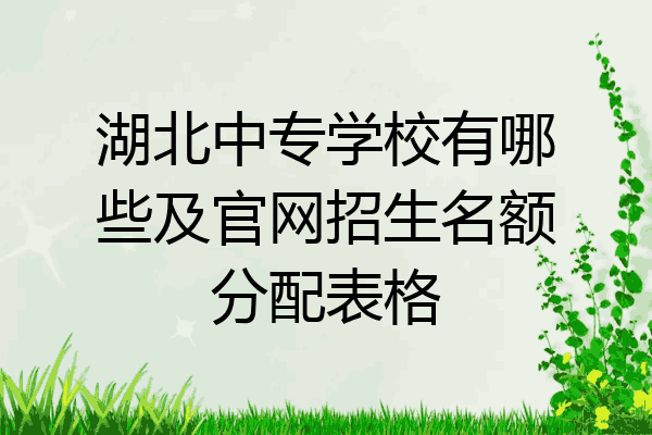 湖北中专学校有哪些及官网招生名额分配表格