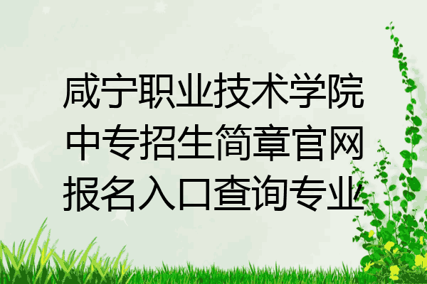 咸宁职业技术学院中专招生简章官网报名入口查询专业