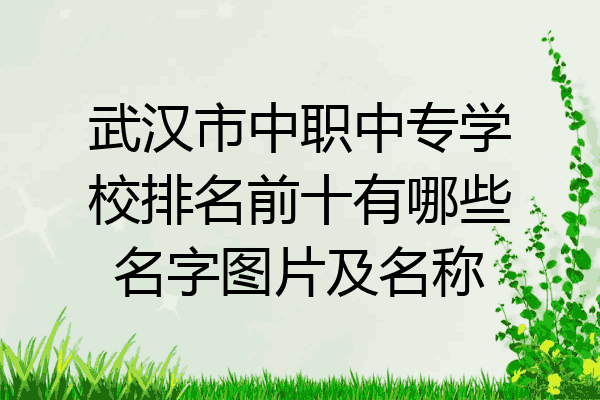 武汉市中职中专学校排名前十有哪些名字图片及名称