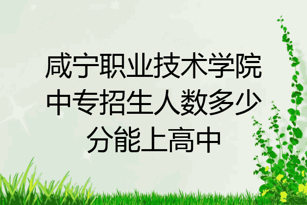 咸宁职业技术学院中专招生人数多少分能上高中