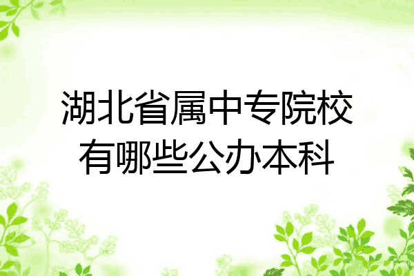 湖北省属中专院校有哪些公办本科