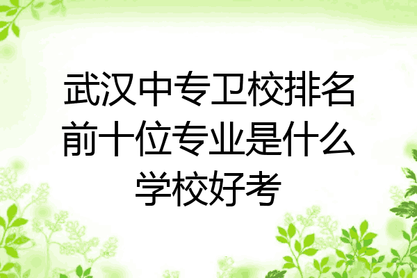 武汉中专卫校排名前十位专业是什么学校好考
