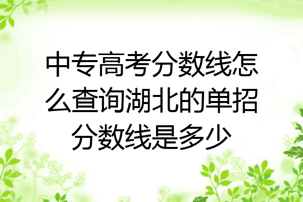 中专高考分数线怎么查询湖北的单招分数线是多少