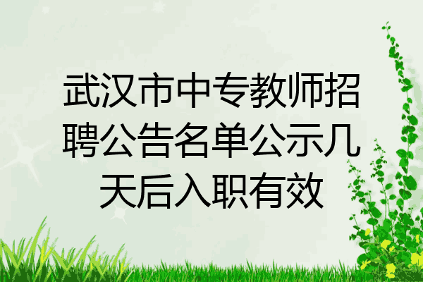 武汉市中专教师招聘公告名单公示几天后入职有效