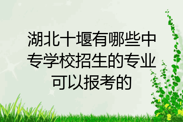 湖北十堰有哪些中专学校招生的专业可以报考的