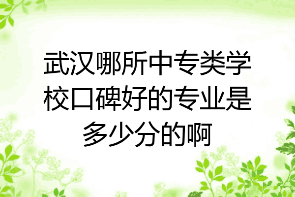 武汉哪所中专类学校口碑好的专业是多少分的啊