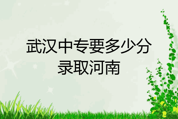 武汉中专要多少分录取河南