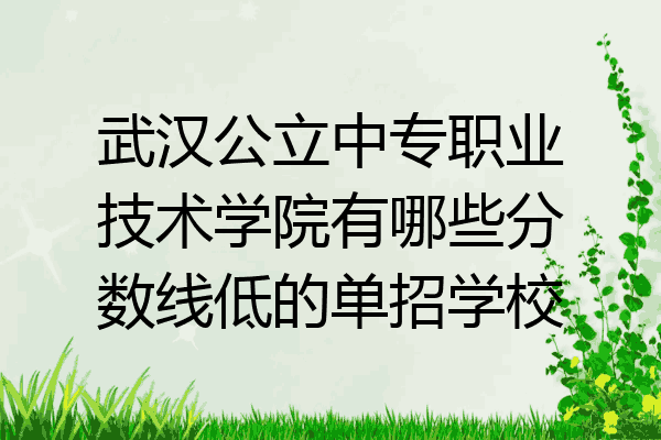 武汉公立中专职业技术学院有哪些分数线低的单招学校