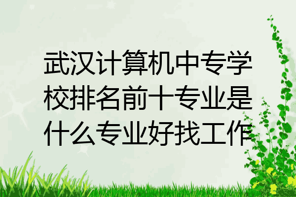 武汉计算机中专学校排名前十专业是什么专业好找工作