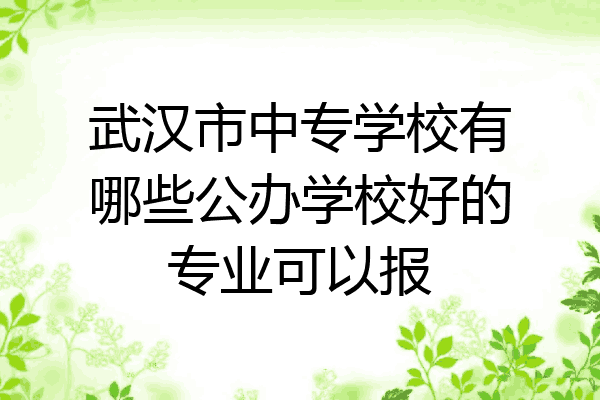 武汉市中专学校有哪些公办学校好的专业可以报