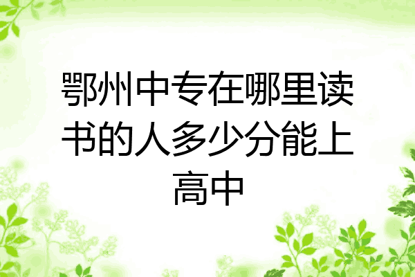 鄂州中专在哪里读书的人多少分能上高中