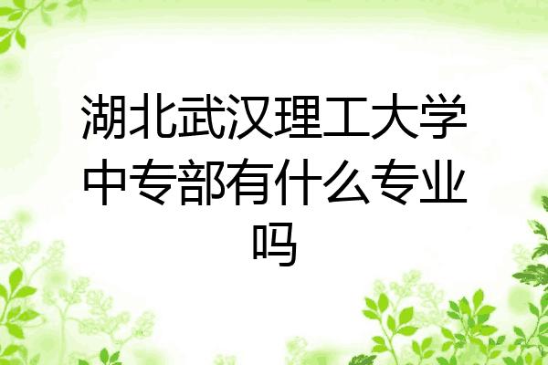 湖北武汉理工大学中专部有什么专业吗