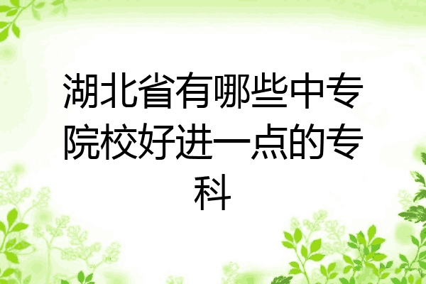 湖北省有哪些中专院校好进一点的专科