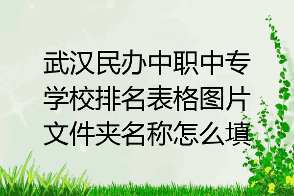 武汉民办中职中专学校排名表格图片文件夹名称怎么填