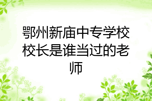 鄂州新庙中专学校校长是谁当过的老师