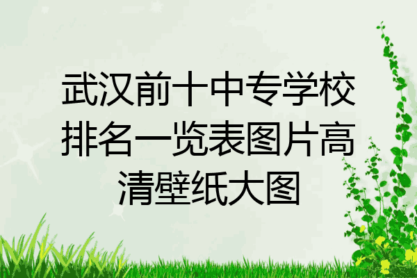 武汉前十中专学校排名一览表图片高清壁纸大图