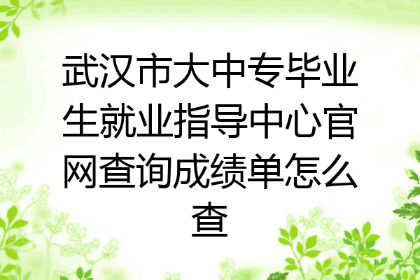 武汉市大中专毕业生就业指导中心官网查询成绩单怎么查