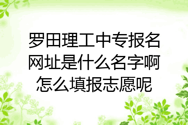 罗田理工中专报名网址是什么名字啊怎么填报志愿呢