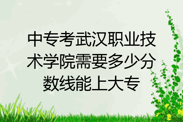 中专考武汉职业技术学院需要多少分数线能上大专