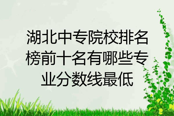 湖北中专院校排名榜前十名有哪些专业分数线最低
