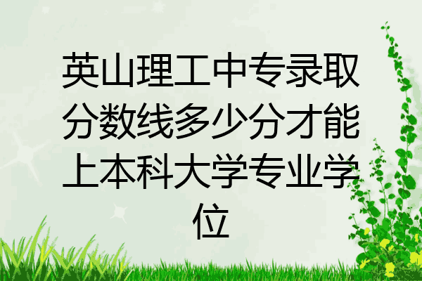 英山理工中专录取分数线多少分才能上本科大学专业学位