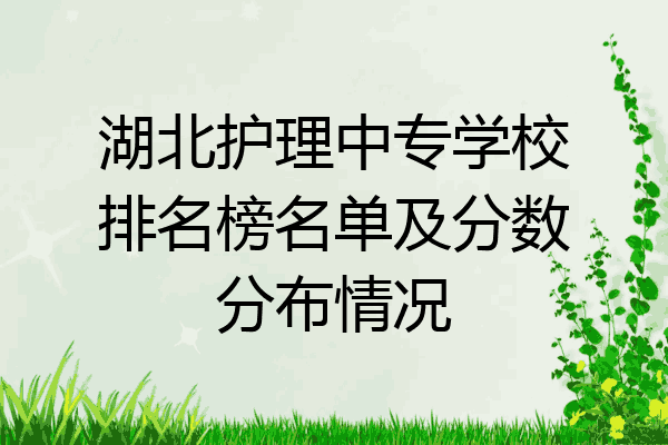 湖北护理中专学校排名榜名单及分数分布情况