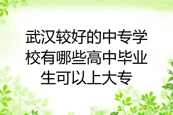 武汉较好的中专学校有哪些高中毕业生可以上大专