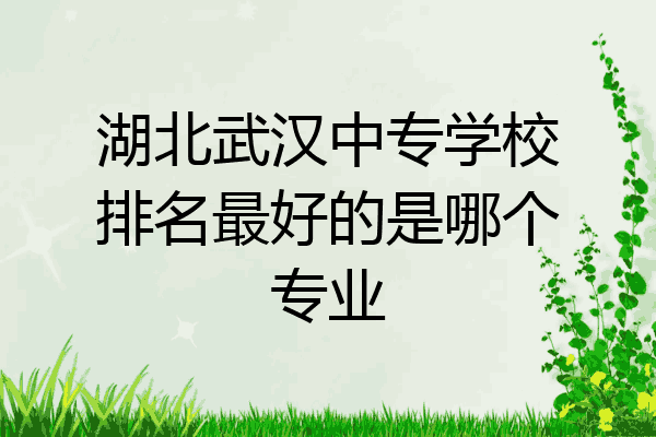 湖北武汉中专学校排名最好的是哪个专业