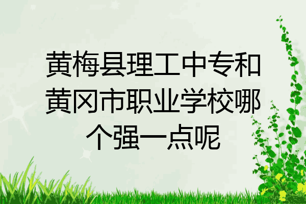 黄梅县理工中专和黄冈市职业学校哪个强一点呢