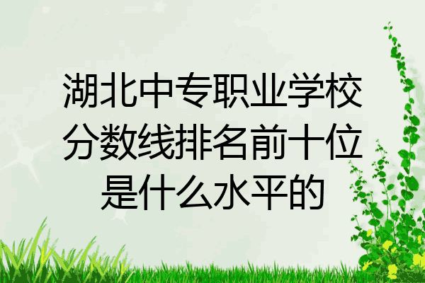 湖北中专职业学校分数线排名前十位是什么水平的