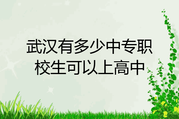 武汉有多少中专职校生可以上高中