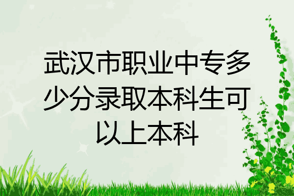 武汉市职业中专多少分录取本科生可以上本科