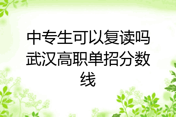 中专生可以复读吗武汉高职单招分数线