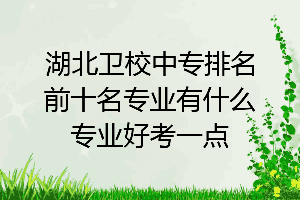湖北卫校中专排名前十名专业有什么专业好考一点