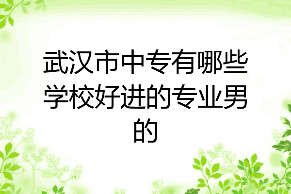 武汉市中专有哪些学校好进的专业男的