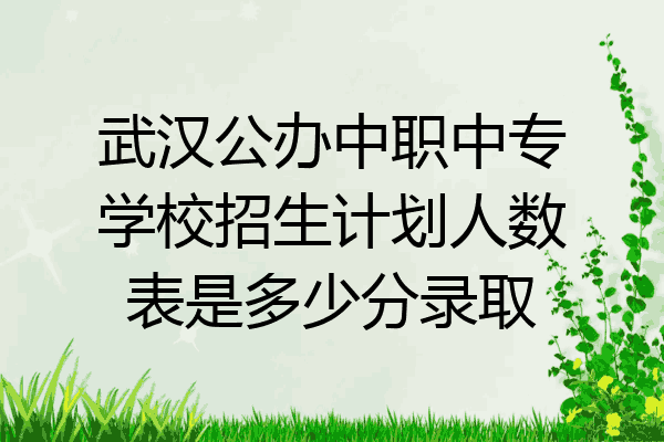 武汉公办中职中专学校招生计划人数表是多少分录取