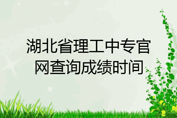 湖北省理工中专官网查询成绩时间