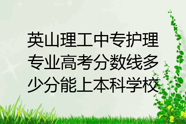 英山理工中专护理专业高考分数线多少分能上本科学校