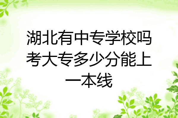 湖北有中专学校吗考大专多少分能上一本线