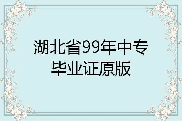 湖北省99年中专毕业证原版