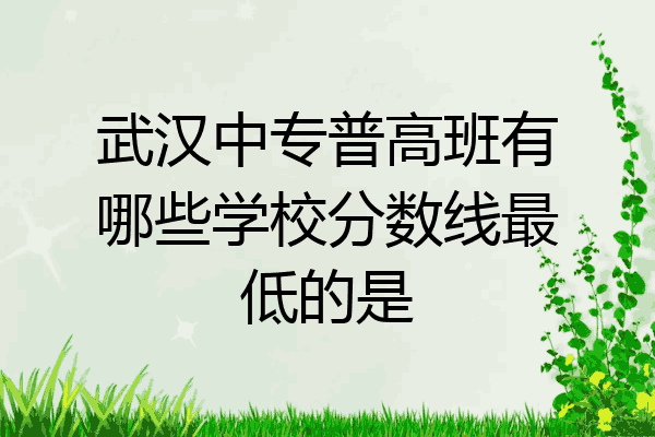 武汉中专普高班有哪些学校分数线最低的是