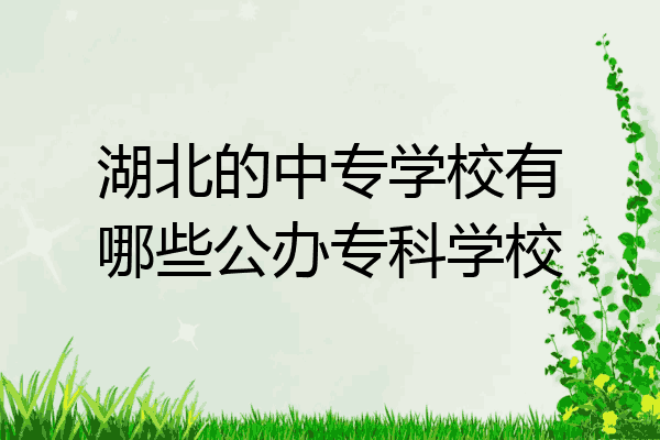 湖北的中专学校有哪些公办专科学校