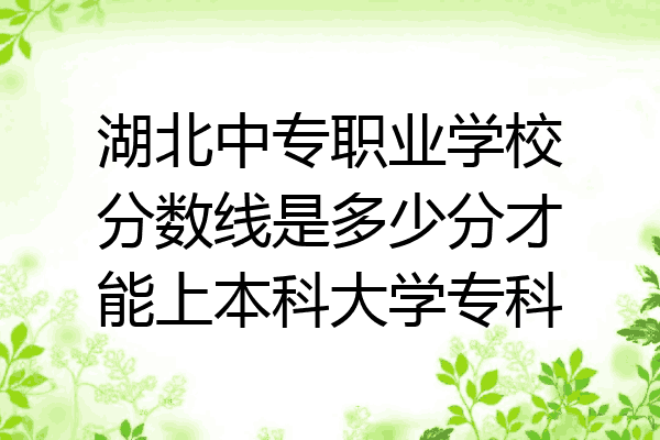 湖北中专职业学校分数线是多少分才能上本科大学专科