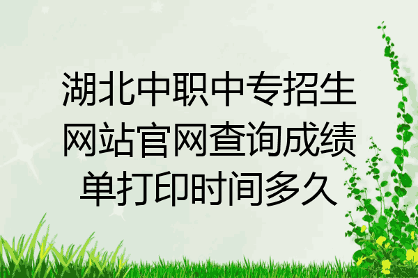 湖北中职中专招生网站官网查询成绩单打印时间多久