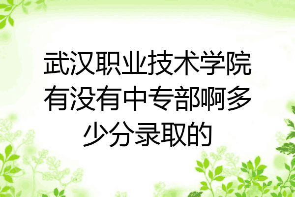 武汉职业技术学院有没有中专部啊多少分录取的