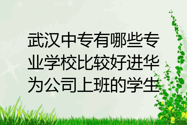 武汉中专有哪些专业学校比较好进华为公司上班的学生
