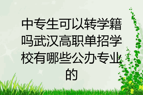 中专生可以转学籍吗武汉高职单招学校有哪些公办专业的