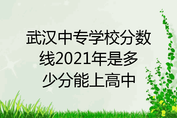 武汉中专学校分数线2021年是多少分能上高中
